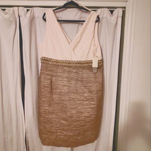 Eliza J 20W Cocktail Dress